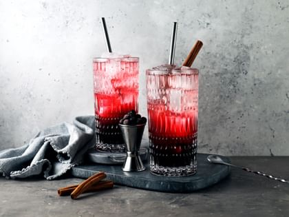 Deux verres long drink NACHTMANN Ethno remplis d’un cocktail noir et rouge, garnis d’un bâton de cannelle