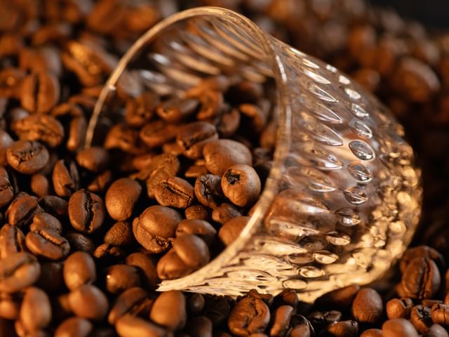 NACHTMANN coffee glass from the Ethno Barista series, lying in coffee beans